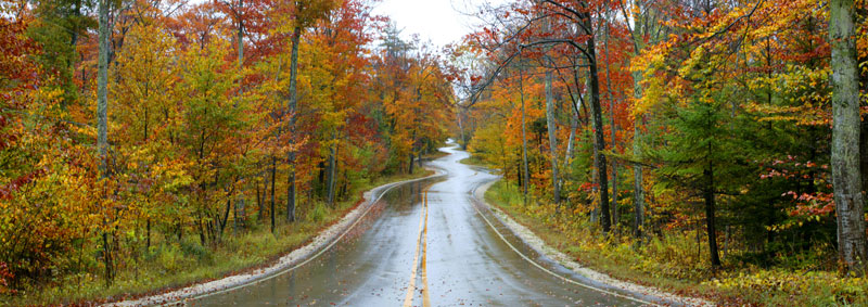 the Long and Winding Road picture