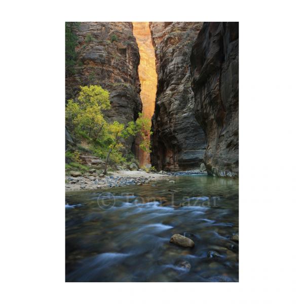 Wall Street - Zion NP picture