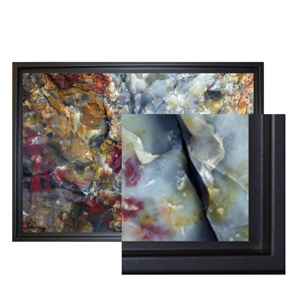 Petrified - framed canvas print picture