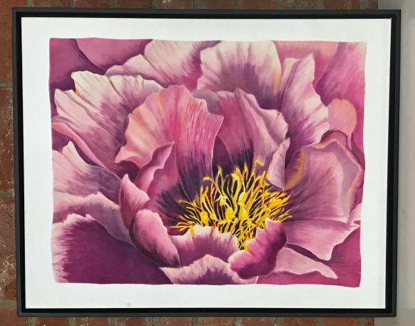 Pink Peony picture