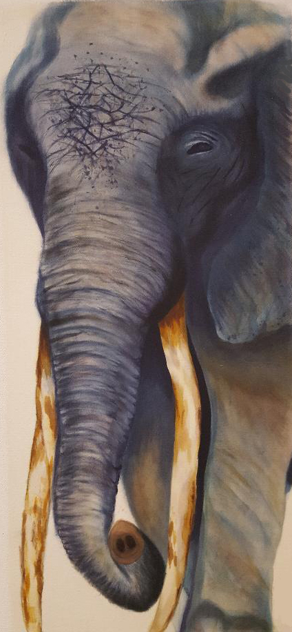 Limited Edition Prints picture