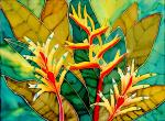 Heliconia