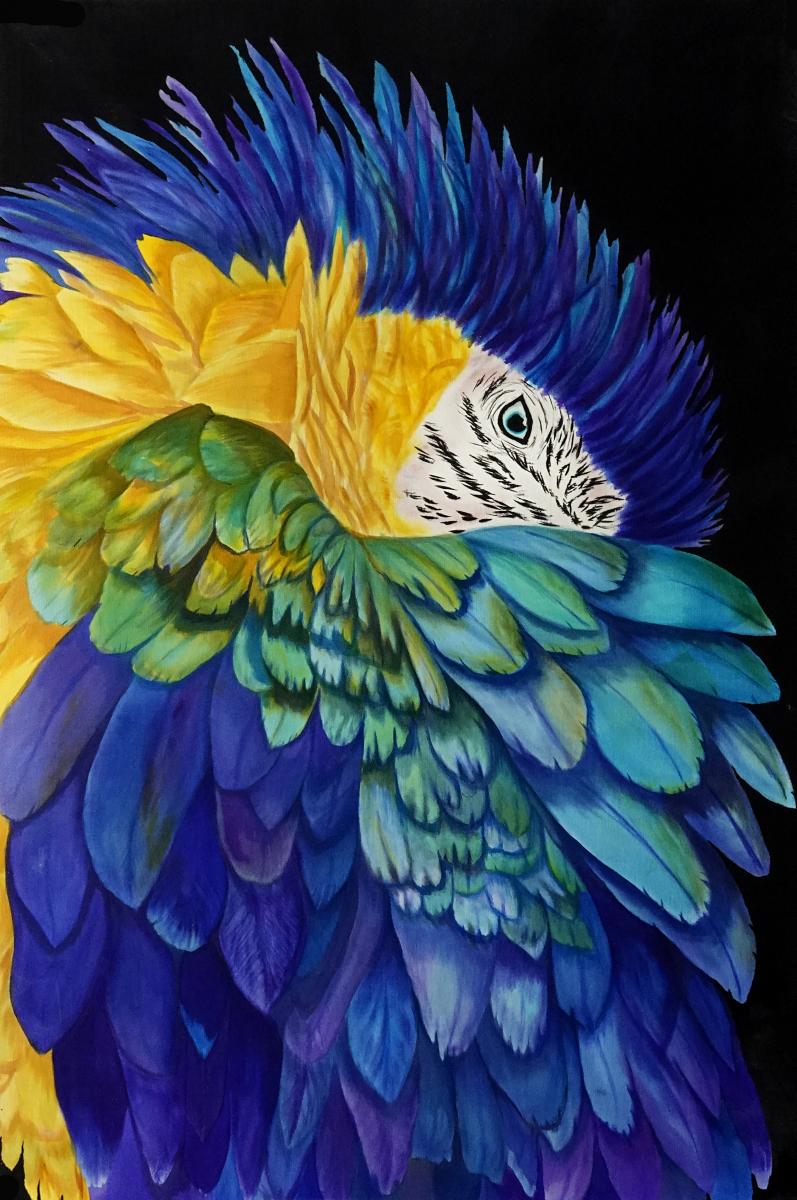 Limited Edition Prints picture