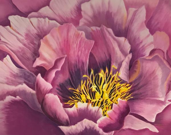 Pink Peony picture