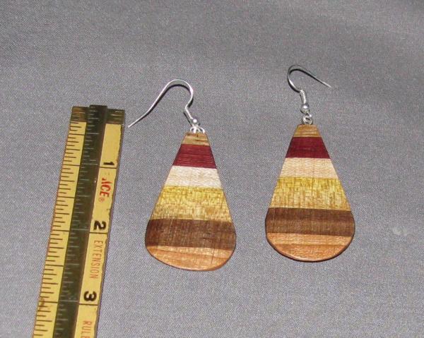 Earrings # 901-1