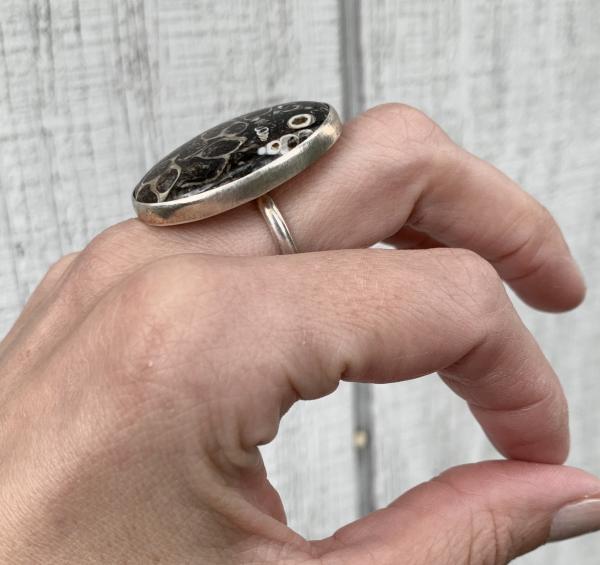 Rare Large Oval Turritella Agate Sterling Silver Statement Ring | Fossil Ring picture