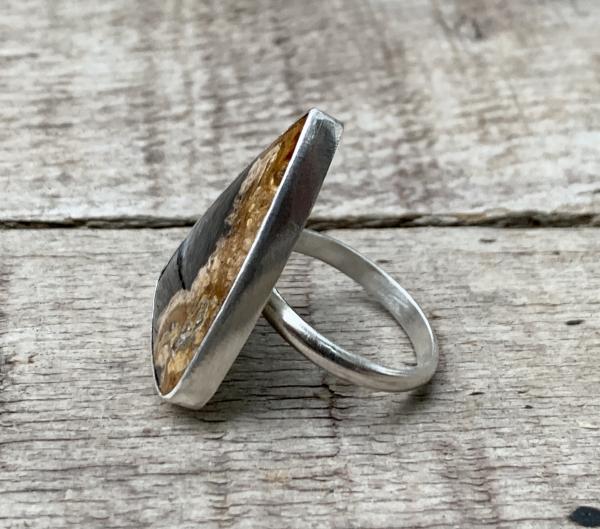 Geometric Triangle Petrified Palm Wood Sterling Silver Statement Ring picture