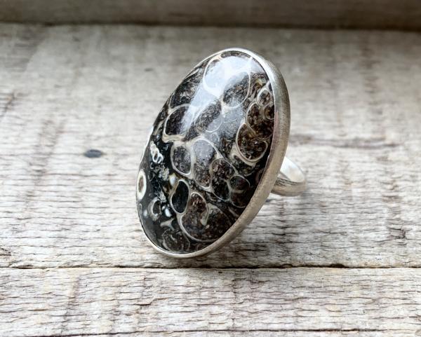 Rare Large Oval Turritella Agate Sterling Silver Statement Ring | Fossil Ring picture