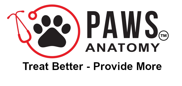 Paws Anatomy