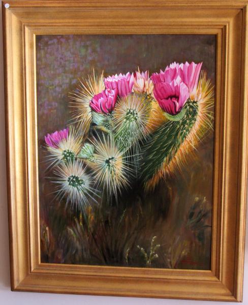 Hedgehog Cactus in Bloom picture