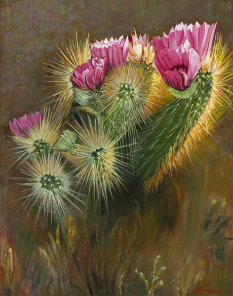 Hedgehog Cactus in Bloom picture