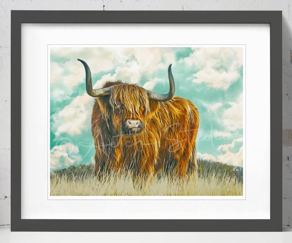 Highland Cattle Print picture