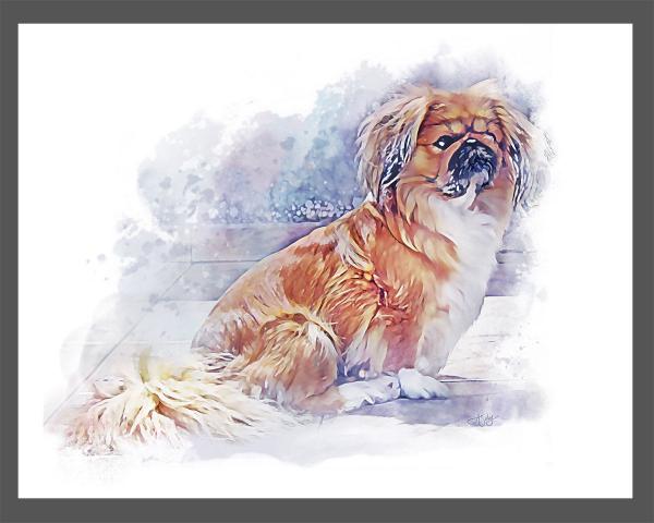 Custom Pet Watercolor Portrait /Illustration picture