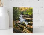 Autumn at Mill Creek Virginia notecards