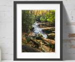 Autumn at Mill Creek Virginia Print