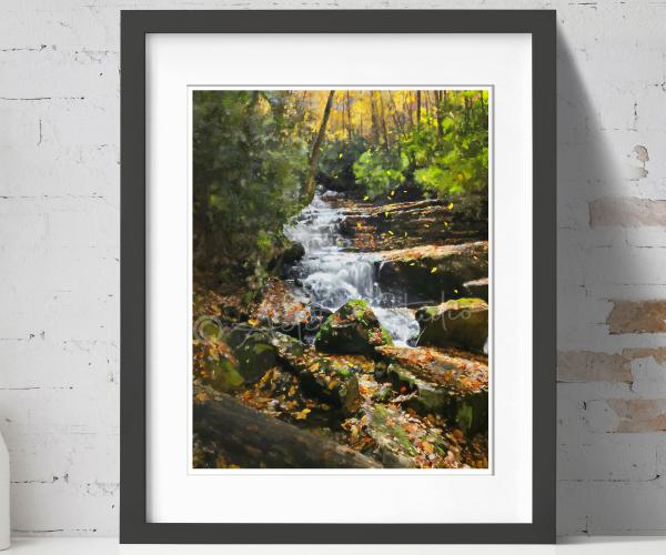 Autumn at Mill Creek Virginia Print picture