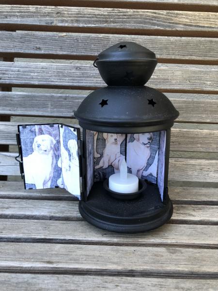 Labrador dog, pet Lantern, Nightlight. Perfect for bedside or bathrooms, includes battery tea light picture