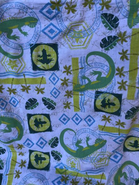 Reptile, lizard, frog fabric tote bag, Reusable shopping bag, For groceries, lunch, diapers, or overnight bag , Canvas lined and bottom picture