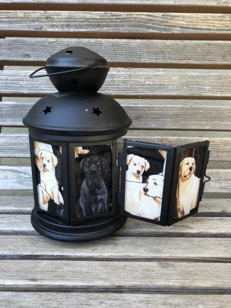 Labrador dog, pet Lantern, Nightlight. Perfect for bedside or bathrooms, includes battery tea light picture