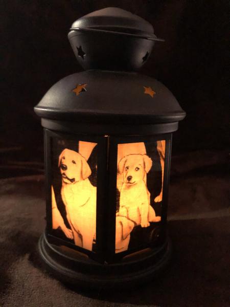 Labrador dog, pet Lantern, Nightlight. Perfect for bedside or bathrooms, includes battery tea light picture
