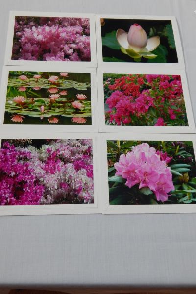 Photo Note Cards - Flowers-Pink or Mixed Color picture