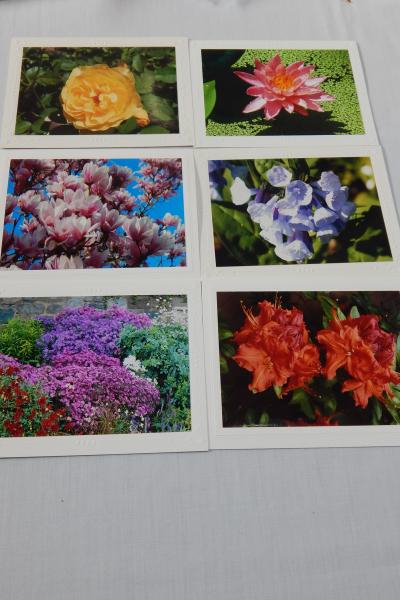 Photo Note Cards - Flowers-Pink or Mixed Color picture
