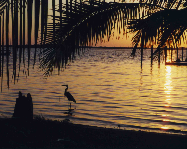 See Options-16x20 Photography on Canvas picture