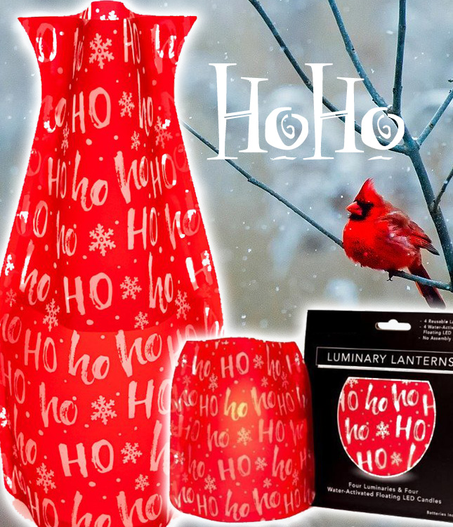 Expandable Luminary (pack of 4) with lights & the matching vase picture