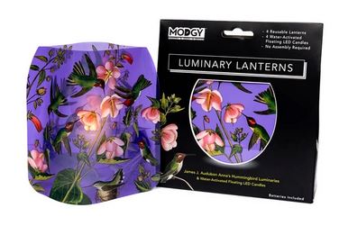 Festive & Fabulous Expandable Luminary 4 pack with tealights included picture