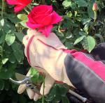 Bionic Rose Gauntlets