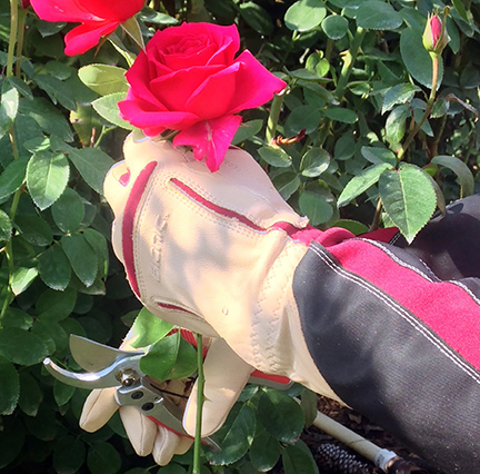 Bionic Rose Gauntlets picture