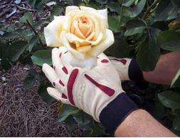 Bionic Short Rose Glove picture