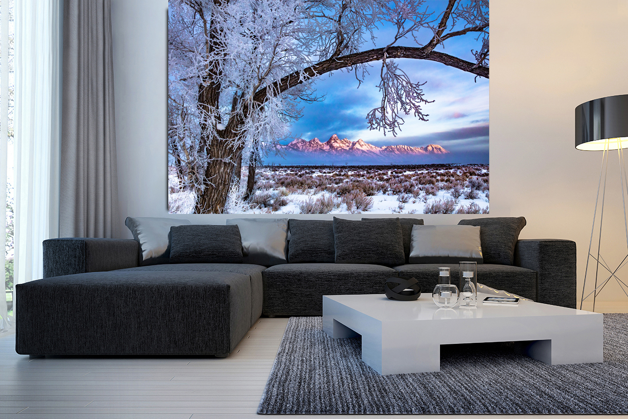 0731 Winter Splendor Limited Edition Photograph on Metal picture