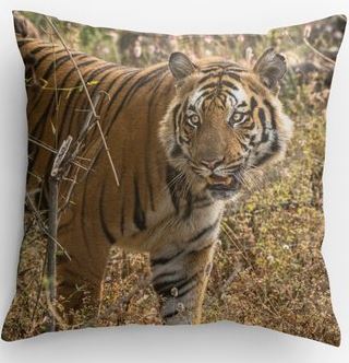 Tiger Pillow picture