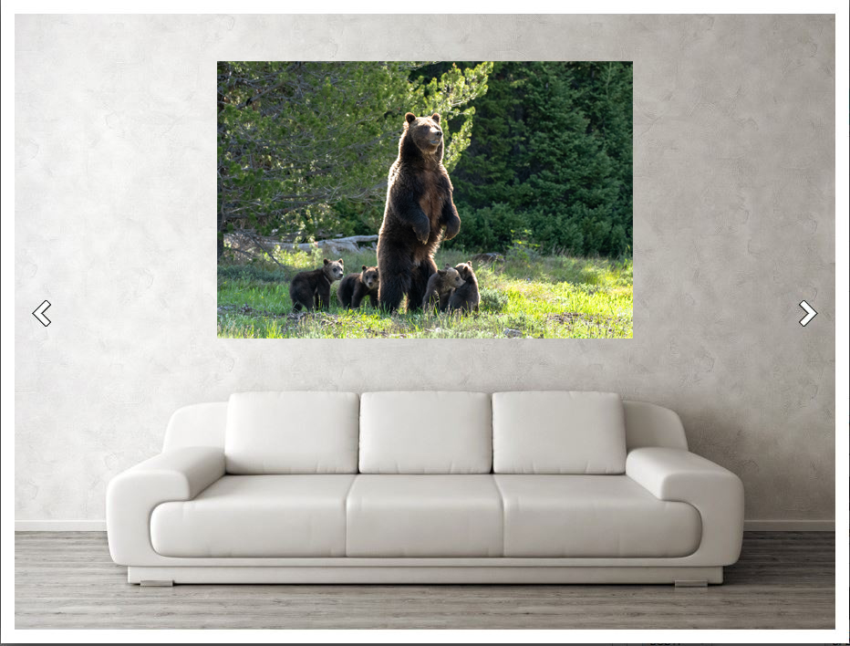 0843 Her Majesty Limited Edition Photograph on Metal picture