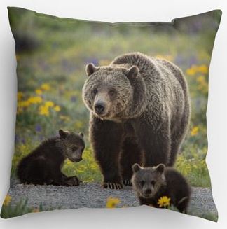 Grizzly Bear Pillow