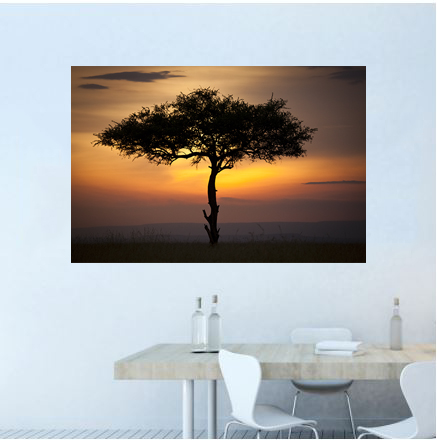 0326 This is Africa Limited Edition Metal Print picture