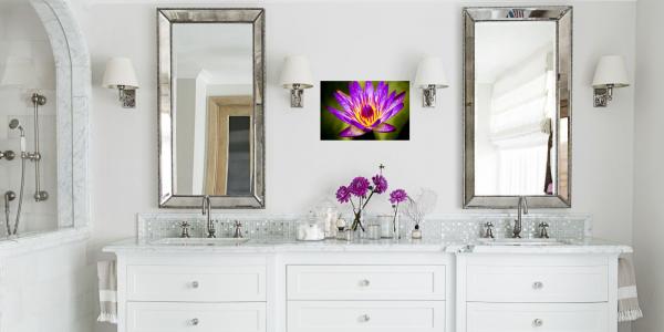 0168 Purple Water Lily Limited Edition Photograph on Metal picture
