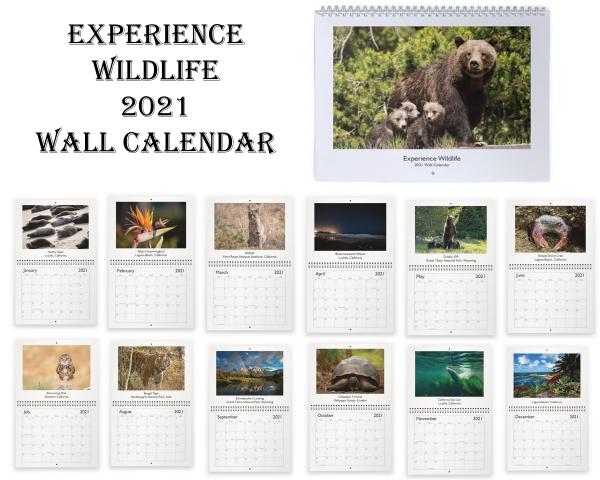 2021 Wall Calendar picture