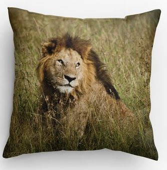 Lion / Cheetah Pillow picture