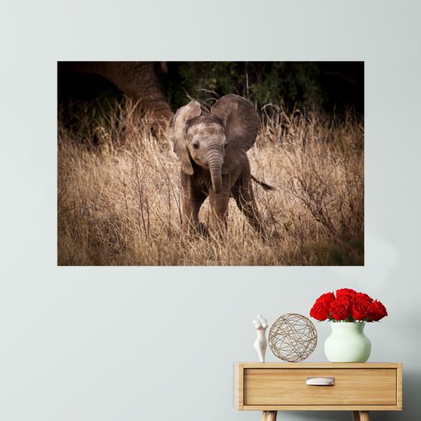 0301 Playtime on the Savannah Limited Edition Metal Print picture