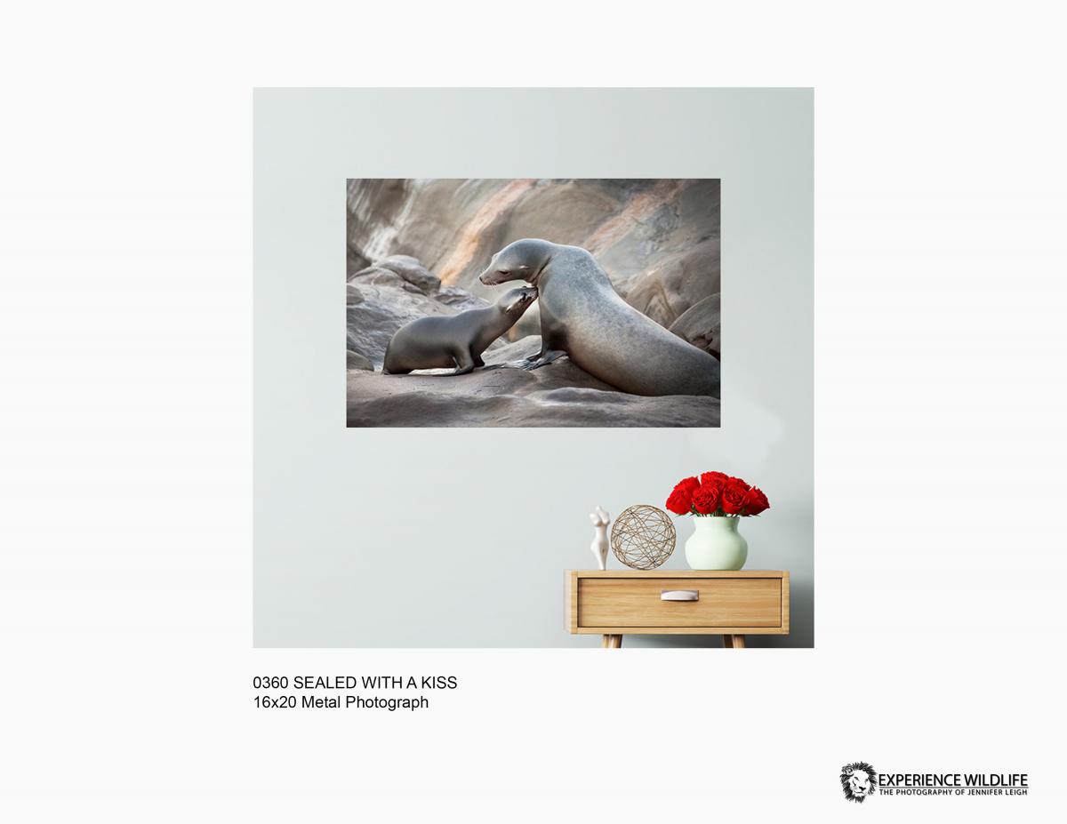 0360 Sealed With A Kiss on Limited Edition Metal picture