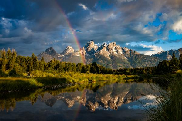 0707 Over the Rainbow Limited Edition Metal picture