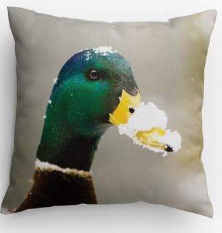 Duck / Fox Pillow