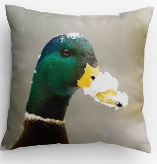 Duck / Fox Pillow picture