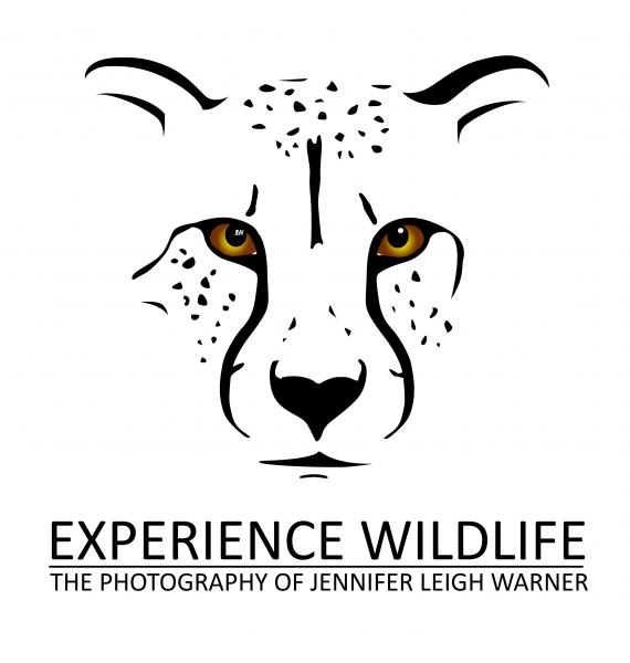 Jennifer Warner