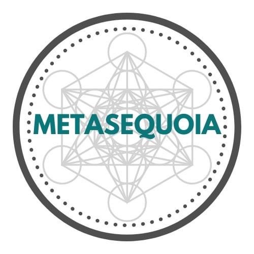 Metasequoia