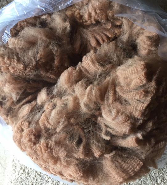 Alpaca - Prime Blanket - "Kalli" picture