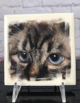 Cat Lover Art Tile
