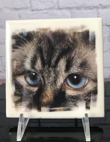 Cat Lover Art Tile picture